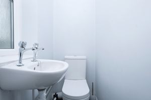 WC- click for photo gallery